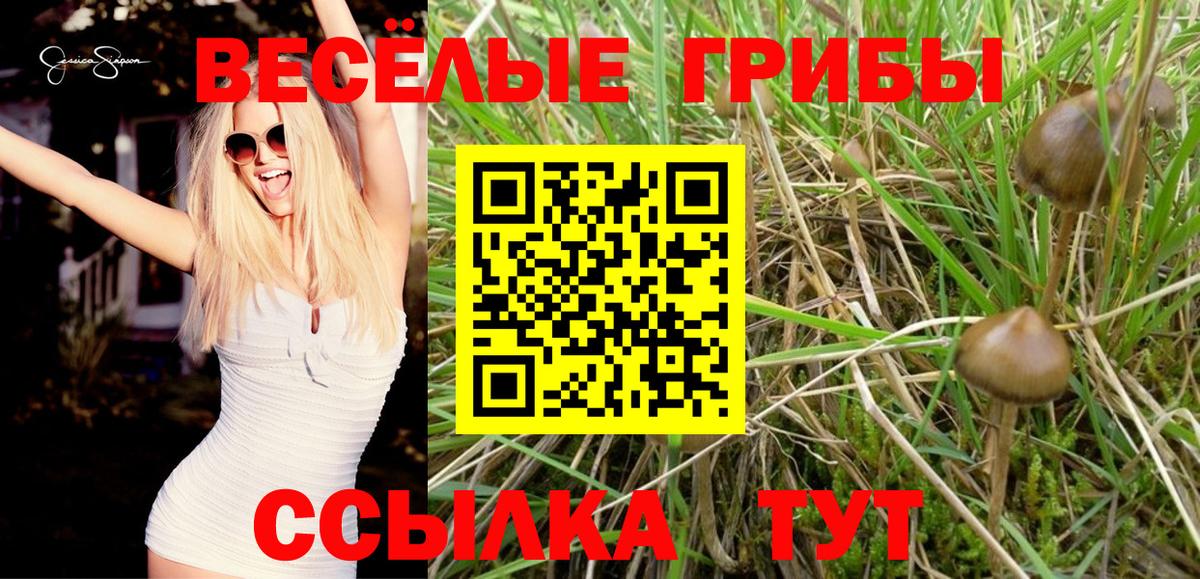 Псилоцибиновые грибы прущие грибы Гусиноозёрск
