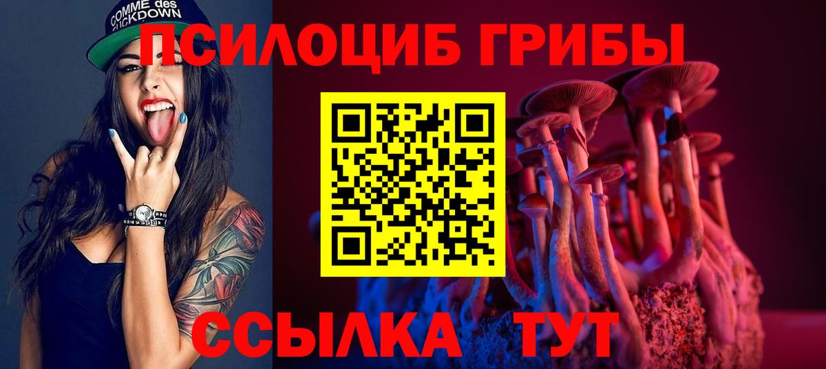 Гусиноозёрск  Галлюциногенные грибы GOLDEN TEACHER  Вход с VPN  Галлюциногенные грибы MAGIC MUSHROOMS 